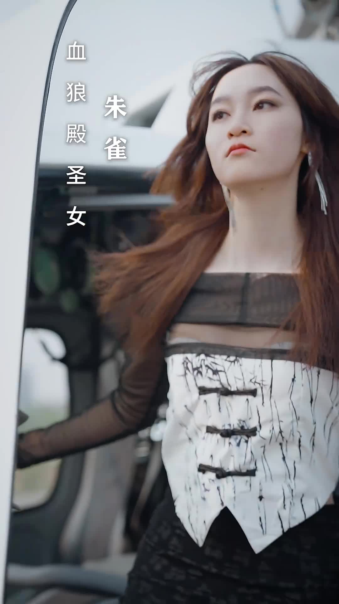 特种上门女婿