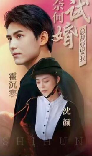奈何试婚总裁要娶我