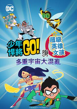 少年泰坦出击&DC超级英雄美少女混乱的多元宇宙