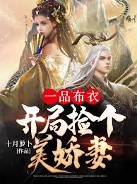 一品布衣开局捡个美娇妻