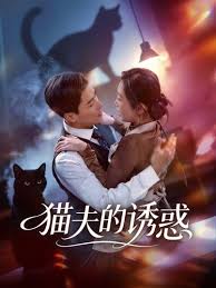 猫夫的诱惑