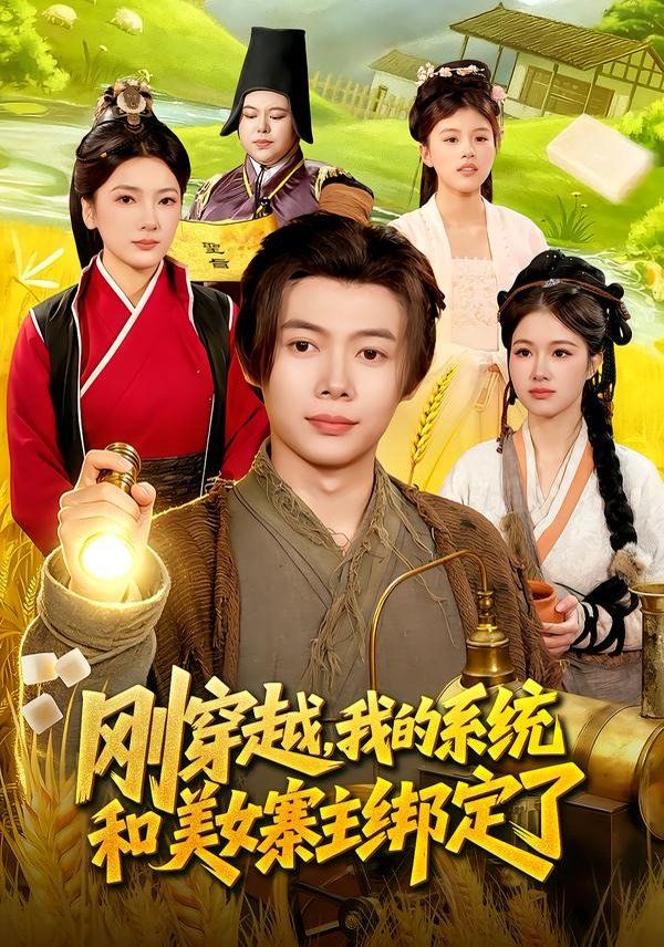 刚穿越我的系统和美女寨主绑定了