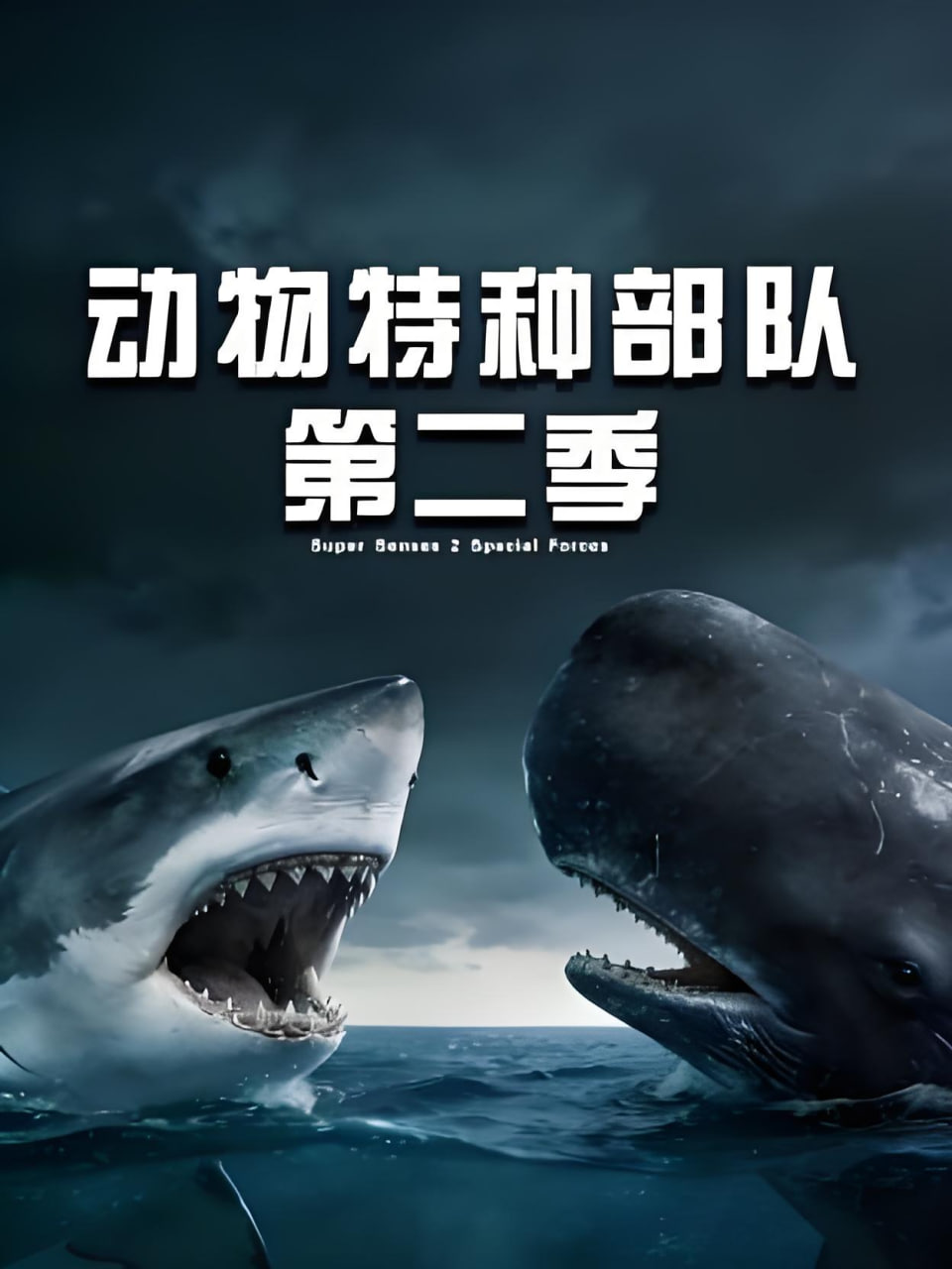 动物特种部队第二季
