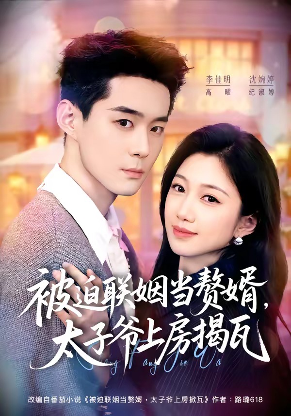 被迫联姻当赘婿太子爷上房揭瓦