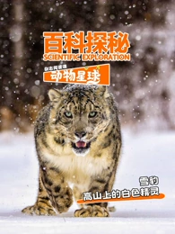 科探秘动物星球高山上的白色精灵雪豹