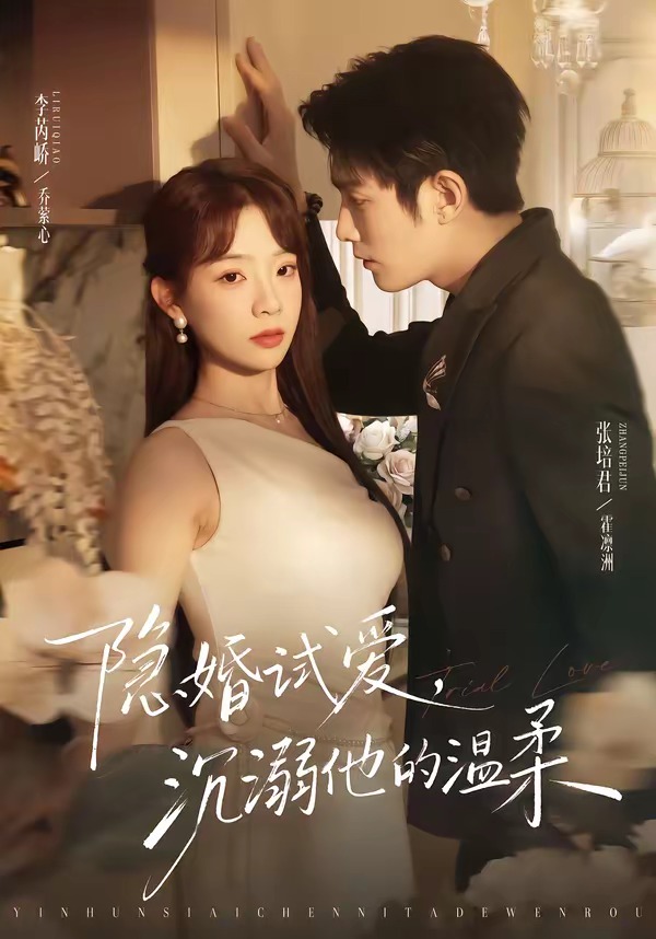 隐婚试爱沉溺他的温柔