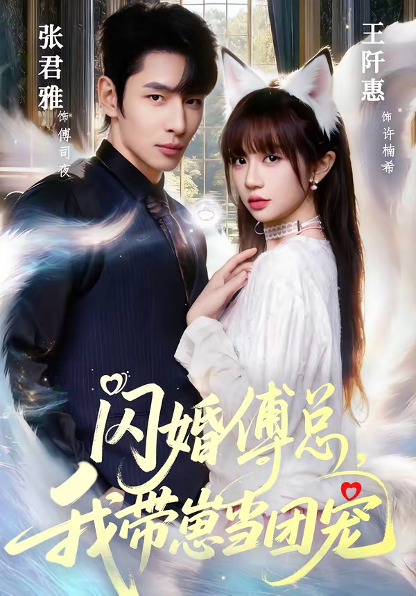 闪婚傅总我带崽当团宠