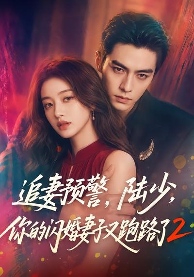 追妻预警陆少你的闪婚妻子又跑路了2