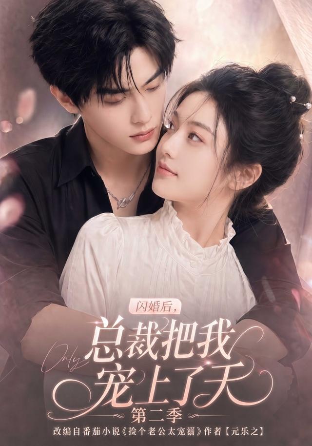 闪婚后总裁把我宠上了天第二季