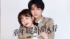 重生暖婚甜入骨